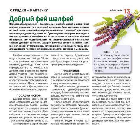 Лечение туберкулеза народными средствами в домашних условиях. народные методы