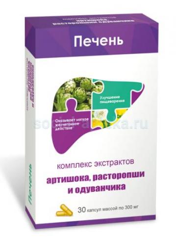 Экстракт артишока: полезные свойства, противопоказания