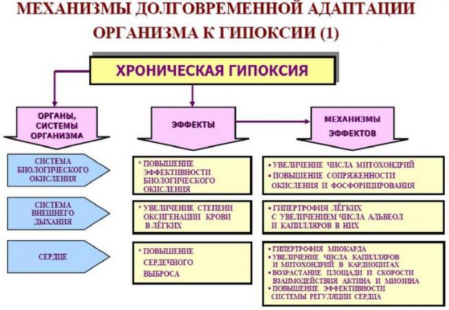 Гипоксия плода при беременности