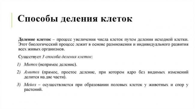 Брожение – энергия для бактерий, польза для человека