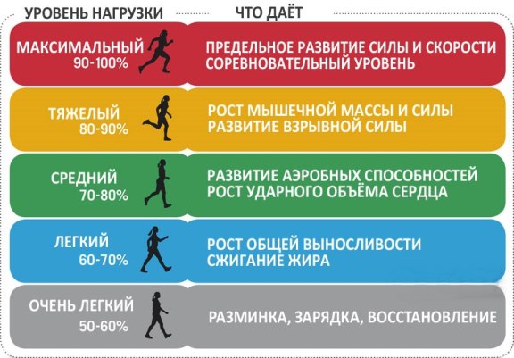 Артериальный пульс