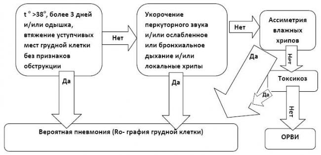 Хламидия пневмонии (chlamydophila / chlamydia pneumoniaе), определение антител класса igg
