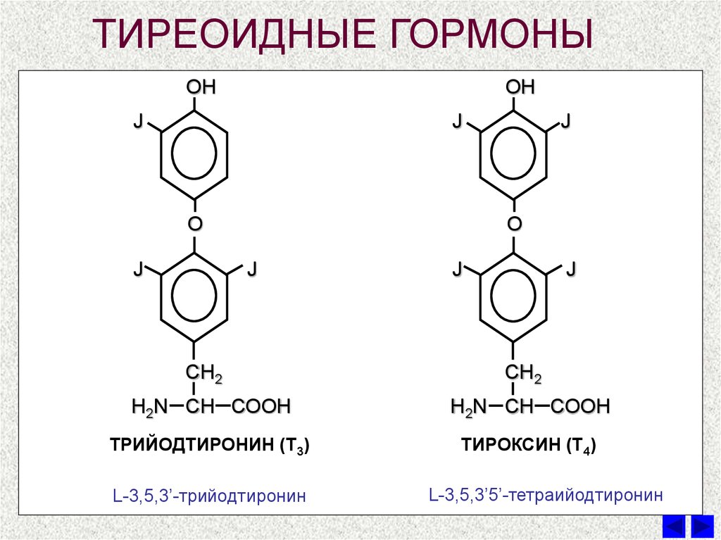 Гормоны голода и сытости грелин и лептин. как ими управлять, чтобы похудеть?