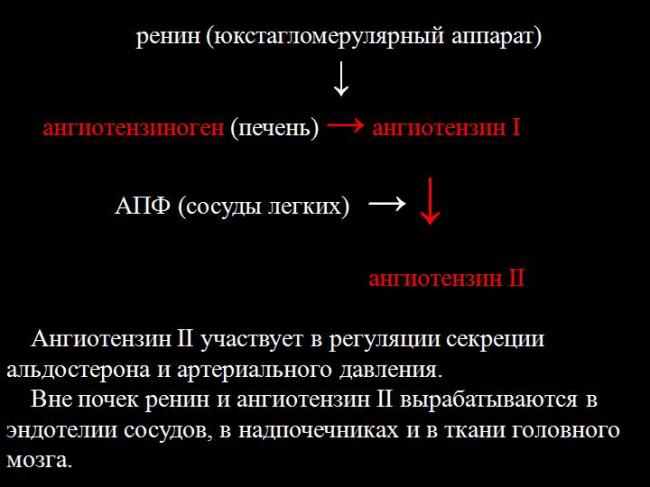 Влияние с-реактивного белка на течение артериальной гипертонии