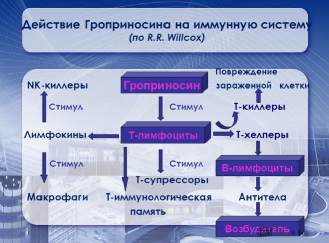 Изопринозин аналоги препарата при впч