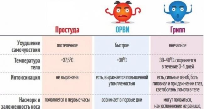 Народная медицина в борьбе с простудой в домашних условиях