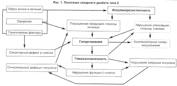Патогенез — википедия с видео // wiki 2