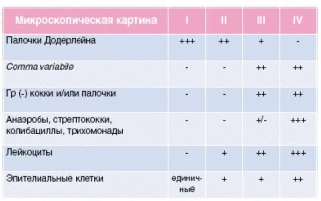 Мазок на флору у женщин: таблица норм с расшифровкой результатов