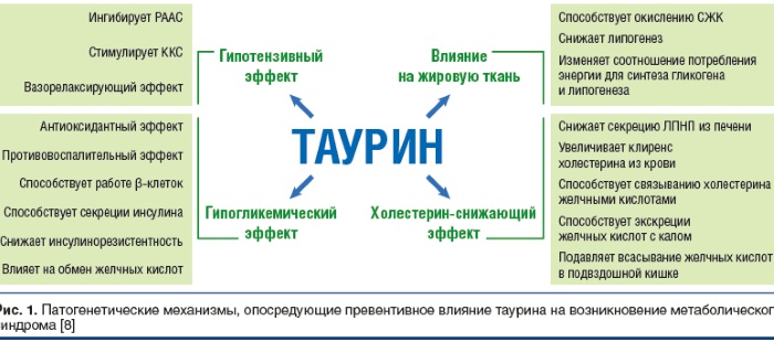 Кардиоактив Эвалар: инструкция по применению, цена и отзывы