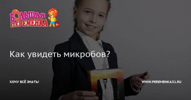 Опыты с детским микроскопом в домашних условиях - как показать детям микромир