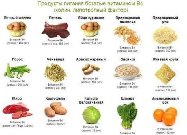 Какие овощи наиболее полезны для печени — 10 лучших вариантов