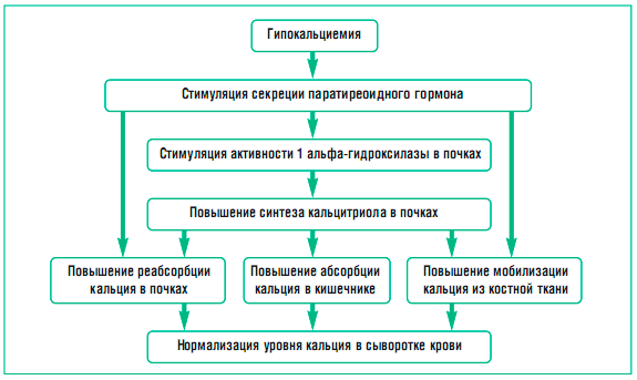 Синдром маккьюн-олбрайта - mccune–albright syndrome