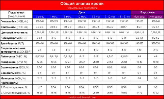 Что если в анализе мочи обнаружены бактерии?