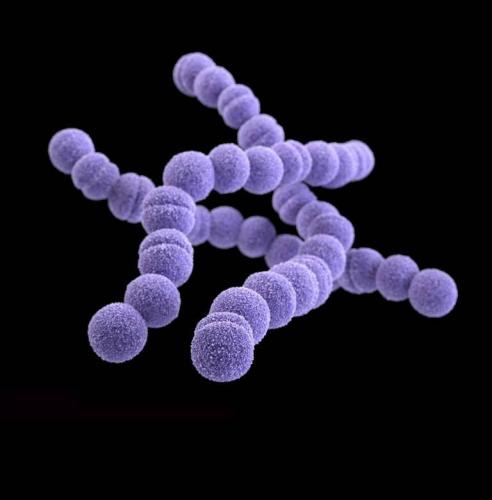 Бициллин-5 Bicillin-5 инструкция по применению