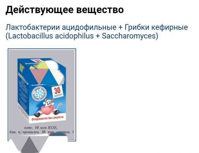Продукты для кишечника: список пробиотиков и пребиотиков