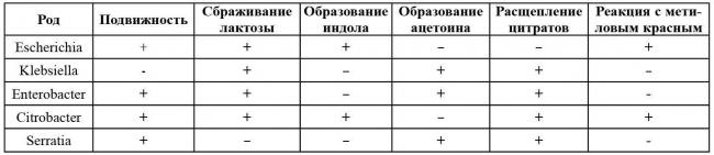 Исследование на бактерии группы кишечных палочек
