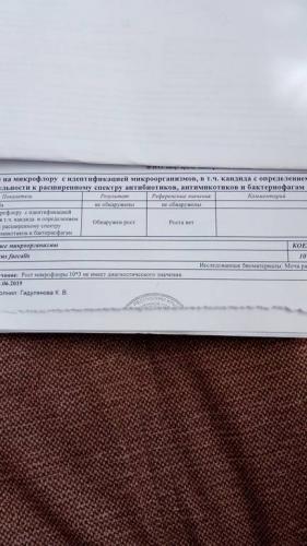 Бактерии в анализе мочи – причины и расшифровка результата