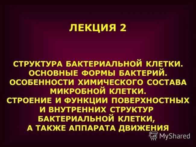 Различные виды бактерий: как узнать, какие – патогенные, а какие нет?
