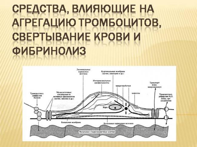 Эти загадочные тромбоциты: казнить нельзя помиловать. - 16 ноября 2011 - персональный сайт