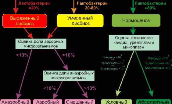 Как восстановить микрофлору влагалища?