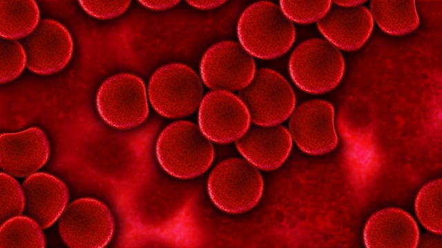 Таблица нормы соэ в крови у женщин после 50 лет и у беременных