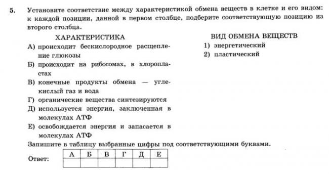 Особенности обмена веществ на разных этапах возрастного развития, обмен веществ и его стадии. - возрастная физиология и психофизиология