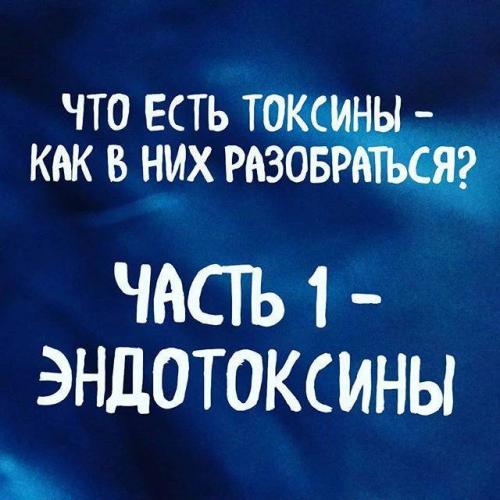 Классификация групп патогенности: все микроорганизмы по местам
