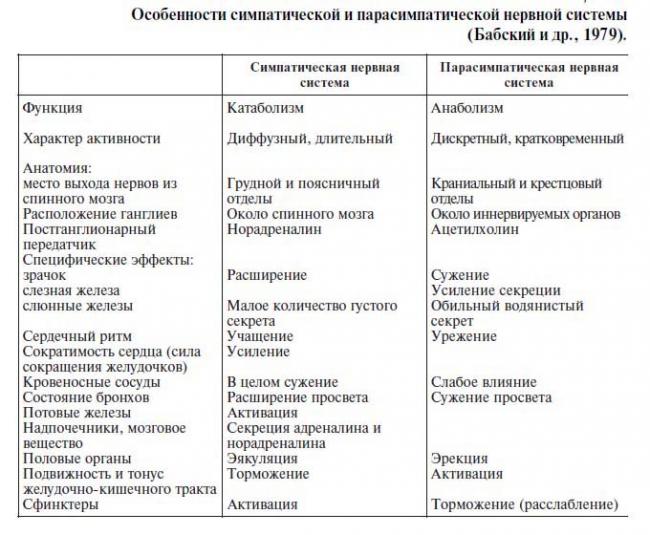 Проверочная работа для 8 класса по теме: «нервная система»