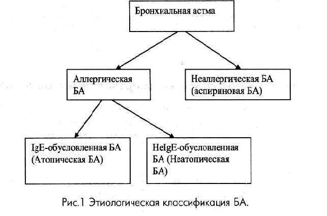 Виды классификации бронхиальной астмы