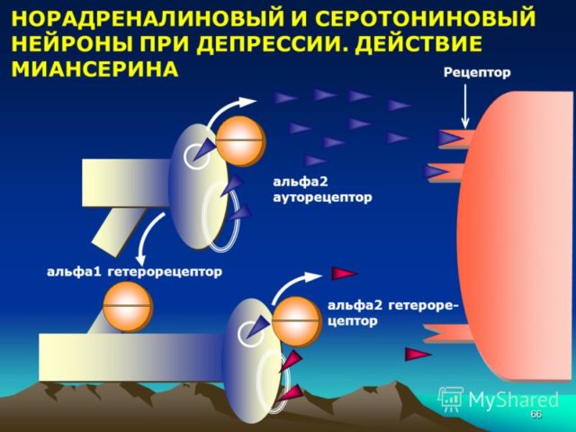 Леривон (lerivon) инструкция по применению