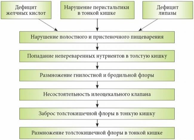 Диспепсия - лечение, профилактика, питание