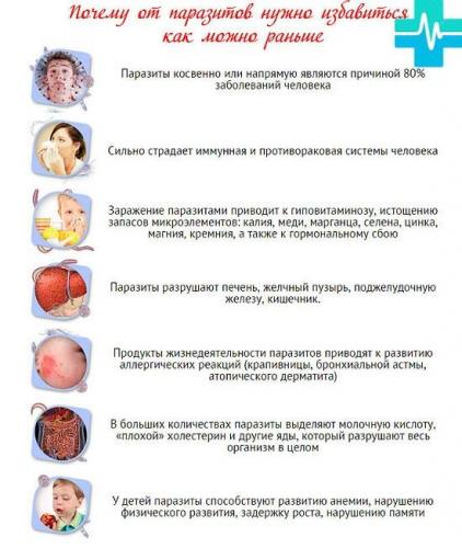 Клизма с содой от паразитов – правильное применение