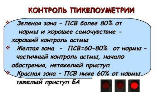 Техника проведения пикфлоуметрии
