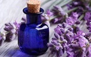 Ушные капли отипакс: инструкция, аналоги, цена и отзывы