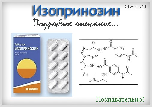 Изопринозин — отзывы, цена, аналоги, формы выпуска