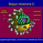 Лечение хронического гепатита C